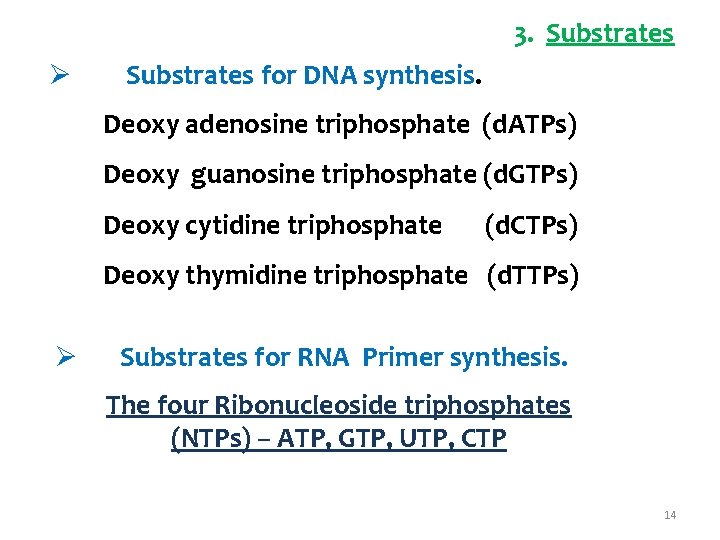 3. Substrates Ø Substrates for DNA synthesis. Deoxy adenosine triphosphate (d. ATPs) Deoxy guanosine
