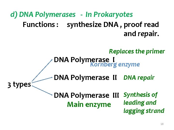 d) DNA Polymerases - In Prokaryotes Functions : synthesize DNA , proof read and