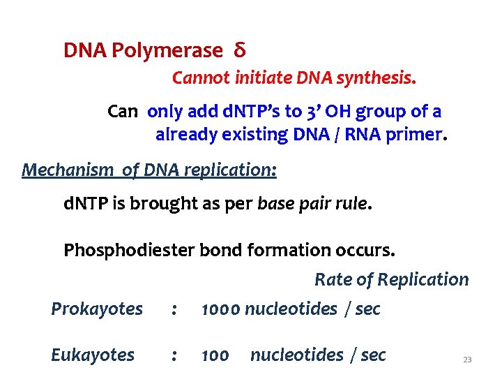 DNA Polymerase δ Cannot initiate DNA synthesis. Can only add d. NTP’s to 3’