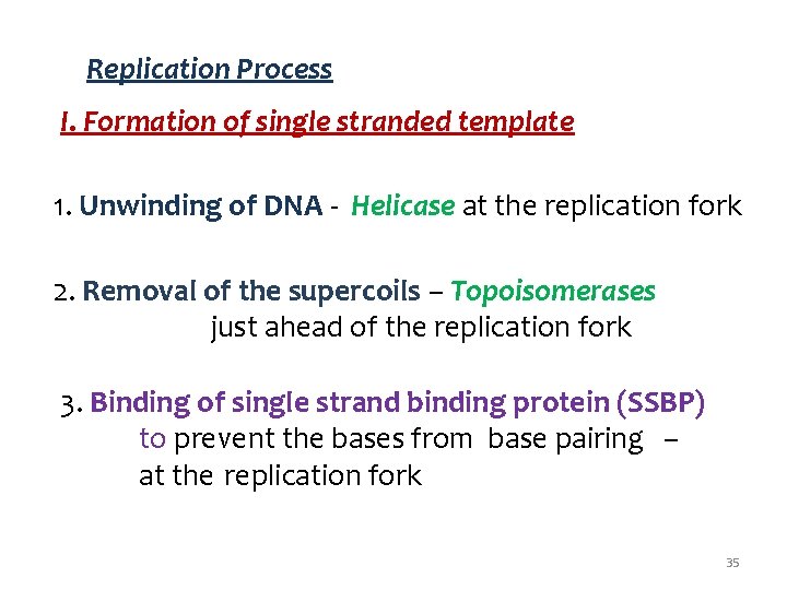 Replication Process I. Formation of single stranded template 1. Unwinding of DNA - Helicase