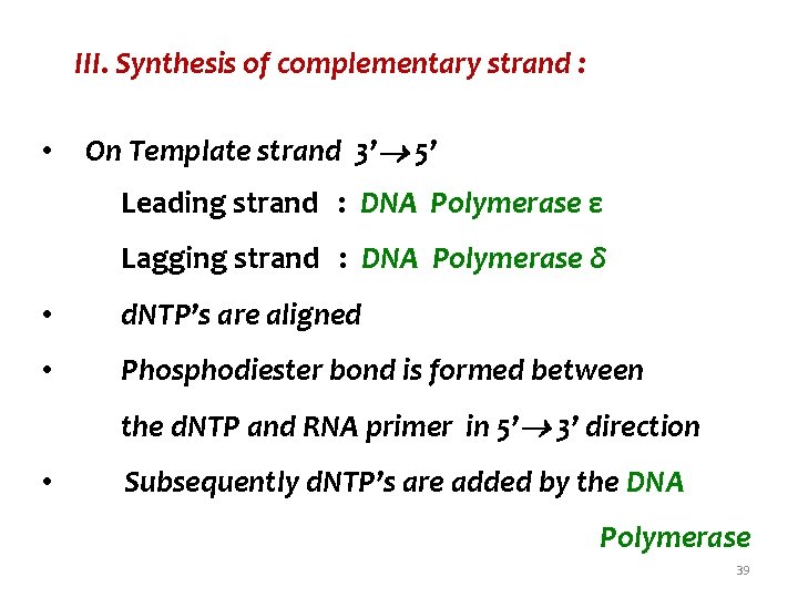 III. Synthesis of complementary strand : • On Template strand 3’ 5’ Leading strand