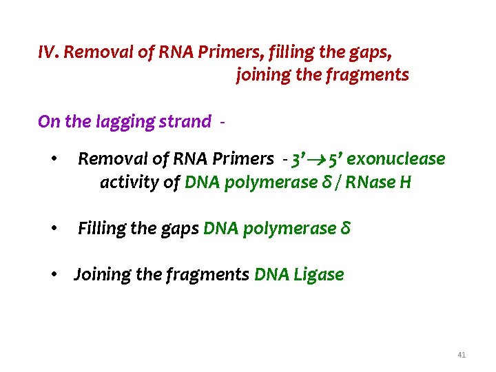 IV. Removal of RNA Primers, filling the gaps, joining the fragments On the lagging