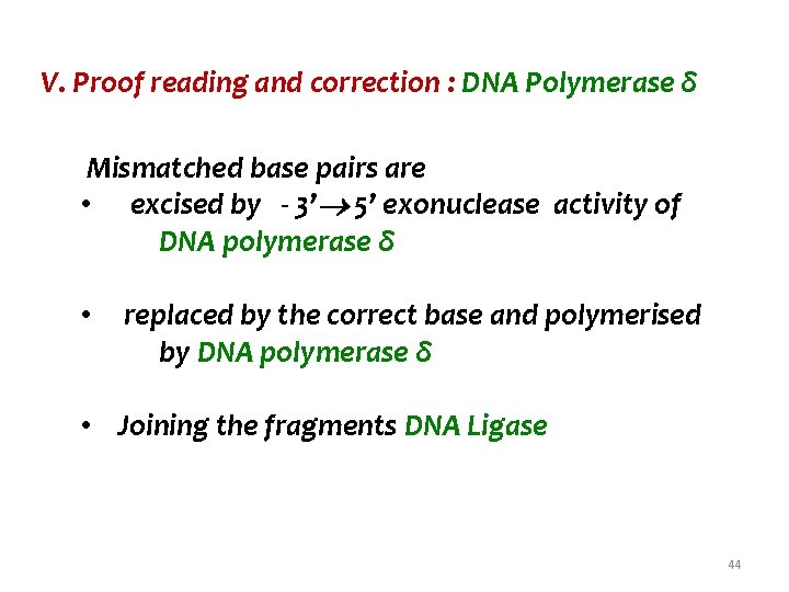 V. Proof reading and correction : DNA Polymerase δ Mismatched base pairs are •