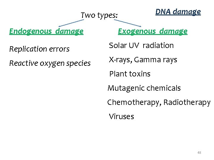 DNA damage Two types: Endogenous damage Exogenous damage Replication errors Solar UV radiation Reactive