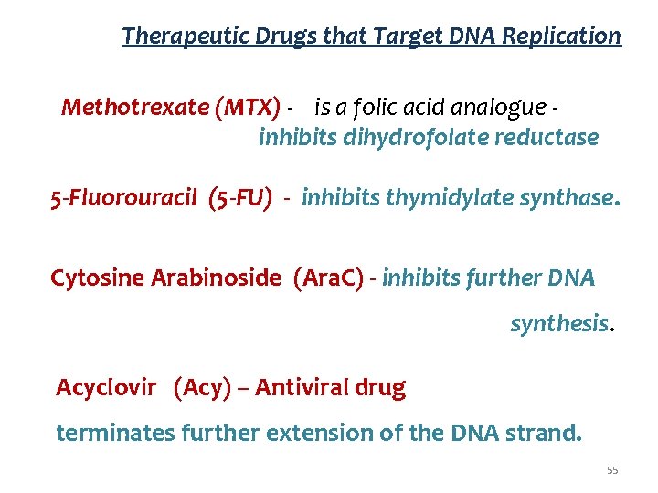 Therapeutic Drugs that Target DNA Replication Methotrexate (MTX) - is a folic acid analogue