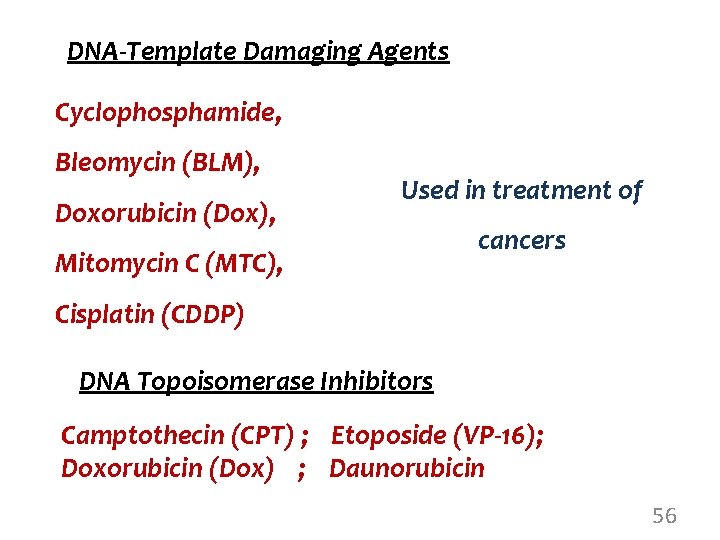 DNA-Template Damaging Agents Cyclophosphamide, Bleomycin (BLM), Doxorubicin (Dox), Used in treatment of Mitomycin C