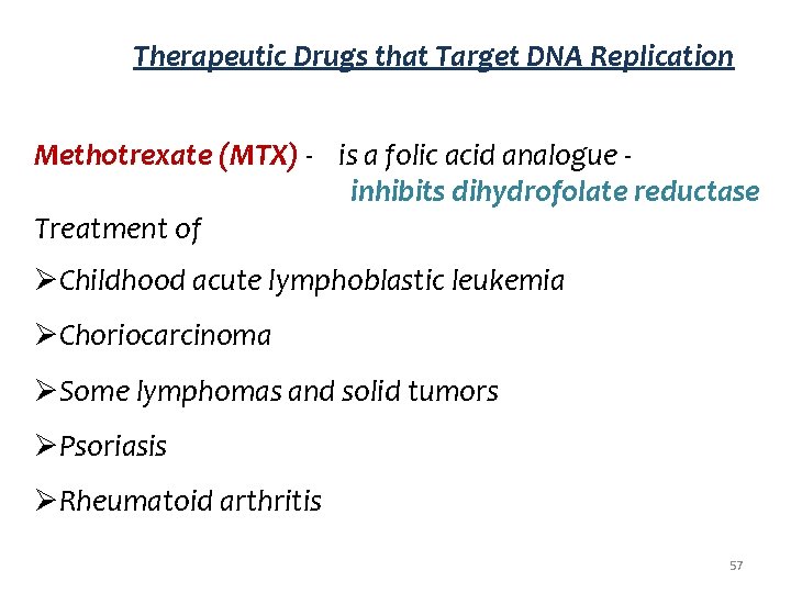 Therapeutic Drugs that Target DNA Replication Methotrexate (MTX) - is a folic acid analogue