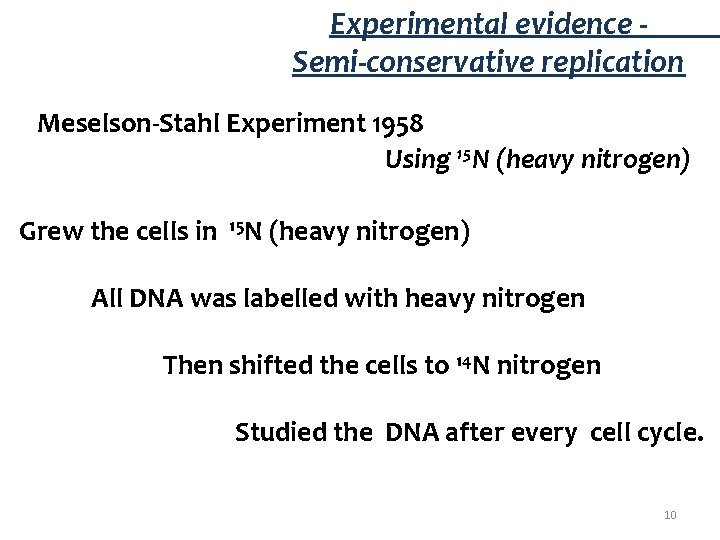 Experimental evidence - Semi-conservative replication Meselson-Stahl Experiment 1958 Using 15 N (heavy nitrogen) Grew