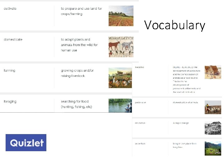 Vocabulary 