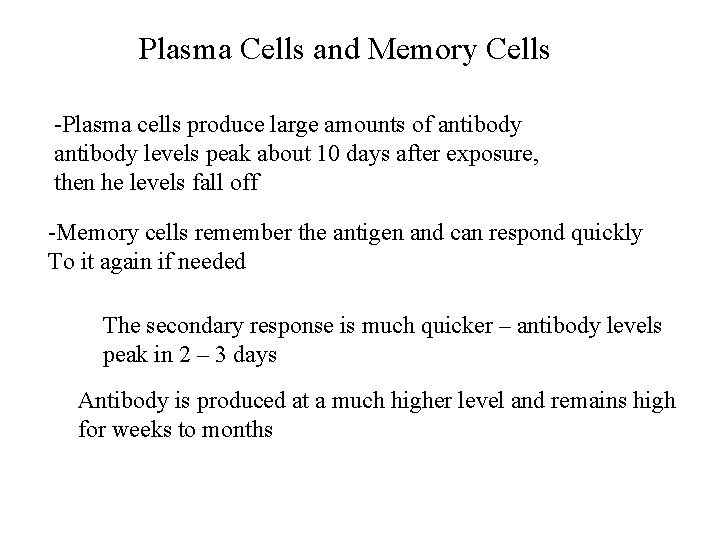 Plasma Cells and Memory Cells -Plasma cells produce large amounts of antibody levels peak