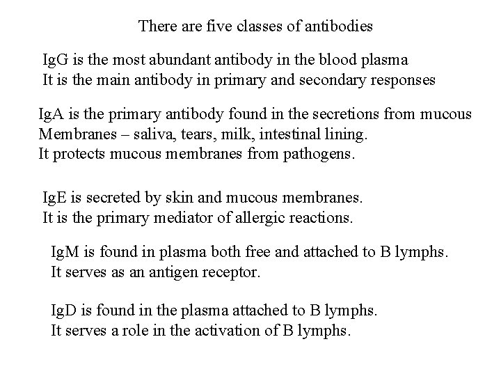 There are five classes of antibodies Ig. G is the most abundant antibody in