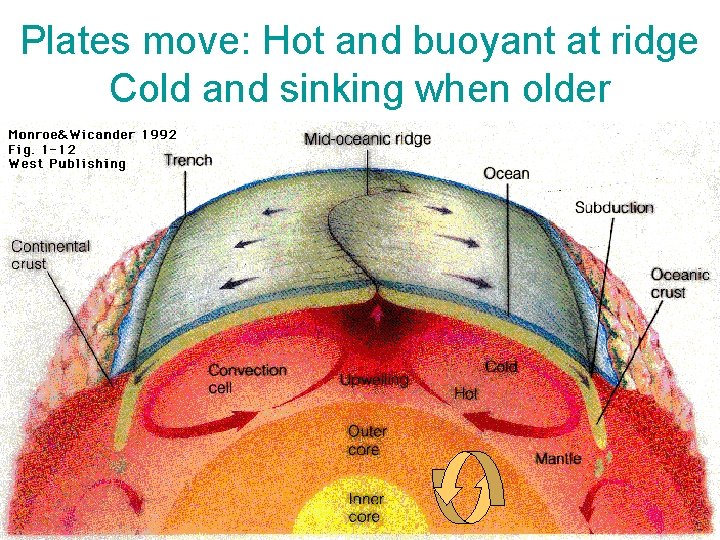 Plates move: Hot and buoyant at ridge Cold and sinking when older 
