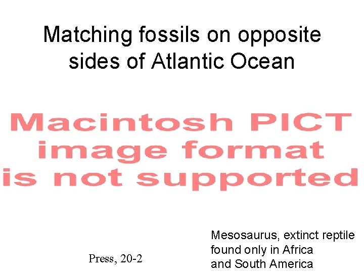 Matching fossils on opposite sides of Atlantic Ocean Press, 20 -2 Mesosaurus, extinct reptile
