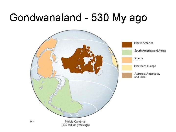 Gondwanaland - 530 My ago 