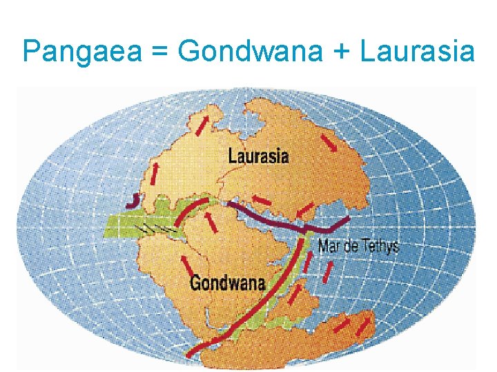 Pangaea = Gondwana + Laurasia 