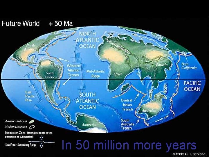 In 50 million more years 