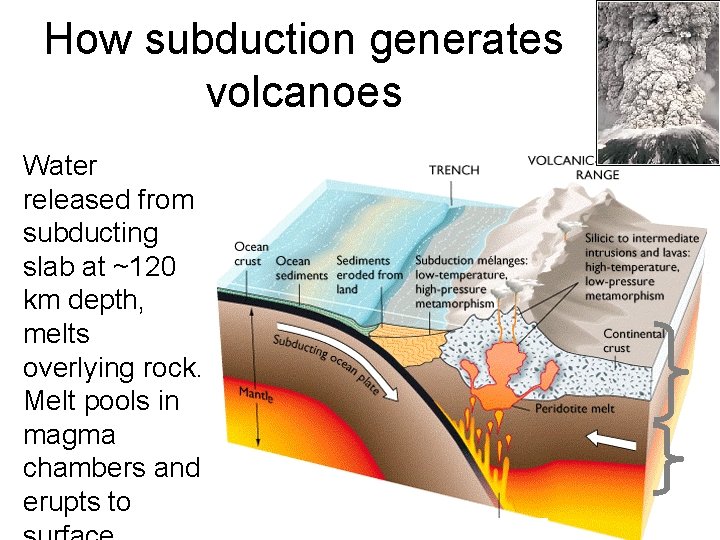 How subduction generates volcanoes Water released from subducting slab at ~120 km depth, melts