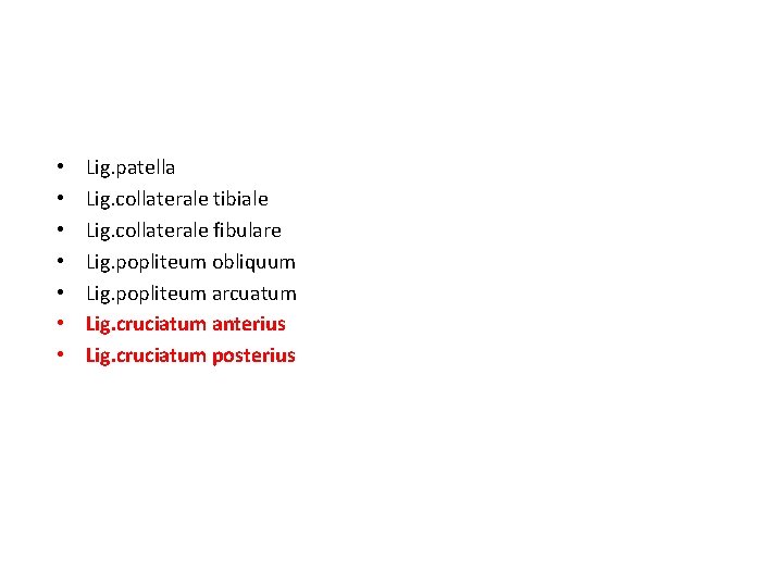 • • Lig. patella Lig. collaterale tibiale Lig. collaterale fibulare Lig. popliteum obliquum • • Lig. patella Lig. collaterale tibiale Lig. collaterale fibulare Lig. popliteum obliquum