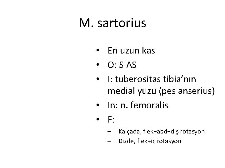 M. sartorius • En uzun kas • O: SIAS • I: tuberositas tibia’nın medial M. sartorius • En uzun kas • O: SIAS • I: tuberositas tibia’nın medial