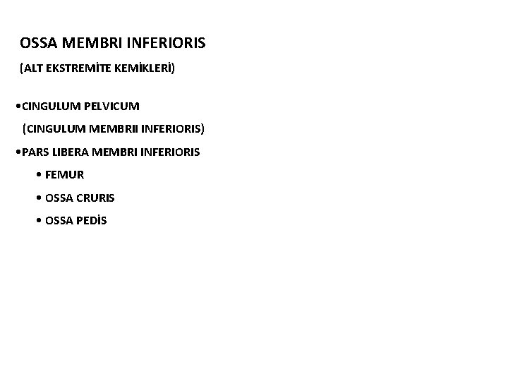 OSSA MEMBRI INFERIORIS (ALT EKSTREMİTE KEMİKLERİ) • CINGULUM PELVICUM (CINGULUM MEMBRII INFERIORIS) • PARS OSSA MEMBRI INFERIORIS (ALT EKSTREMİTE KEMİKLERİ) • CINGULUM PELVICUM (CINGULUM MEMBRII INFERIORIS) • PARS