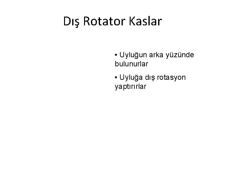 Dış Rotator Kaslar • Uyluğun arka yüzünde bulunurlar • Uyluğa dış rotasyon yaptırırlar Dış Rotator Kaslar • Uyluğun arka yüzünde bulunurlar • Uyluğa dış rotasyon yaptırırlar