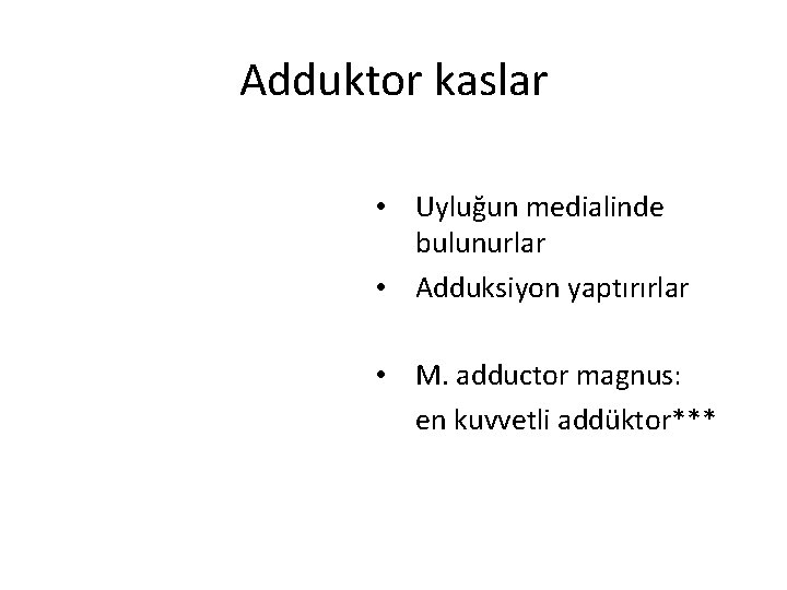 Adduktor kaslar • Uyluğun medialinde bulunurlar • Adduksiyon yaptırırlar • M. adductor magnus: en Adduktor kaslar • Uyluğun medialinde bulunurlar • Adduksiyon yaptırırlar • M. adductor magnus: en