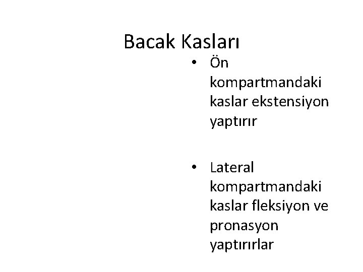 Bacak Kasları • Ön kompartmandaki kaslar ekstensiyon yaptırır • Lateral kompartmandaki kaslar fleksiyon ve Bacak Kasları • Ön kompartmandaki kaslar ekstensiyon yaptırır • Lateral kompartmandaki kaslar fleksiyon ve