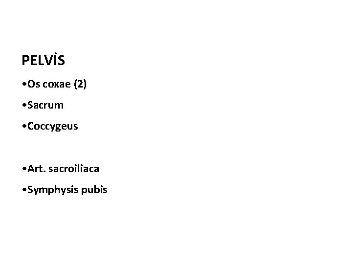 PELVİS • Os coxae (2) • Sacrum • Coccygeus • Art. sacroiliaca • Symphysis PELVİS • Os coxae (2) • Sacrum • Coccygeus • Art. sacroiliaca • Symphysis