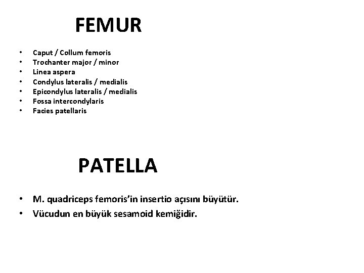 FEMUR • • Caput / Collum femoris Trochanter major / minor Linea aspera Condylus FEMUR • • Caput / Collum femoris Trochanter major / minor Linea aspera Condylus