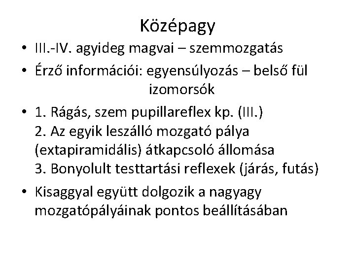 Középagy • III. -IV. agyideg magvai – szemmozgatás • Érző információi: egyensúlyozás – belső