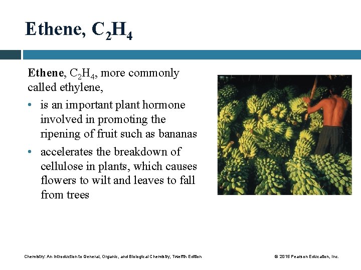 Ethene, C 2 H 4, more commonly called ethylene, • is an important plant