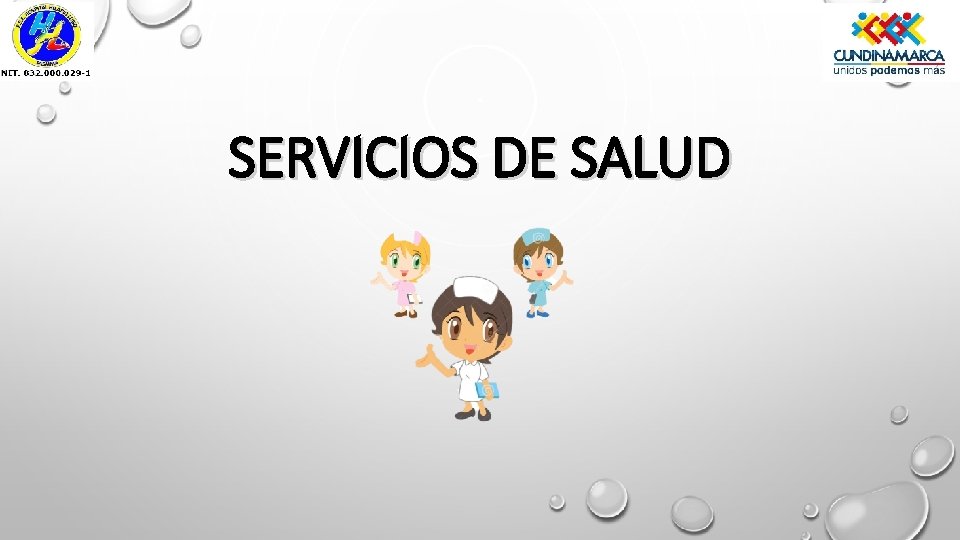 SERVICIOS DE SALUD 