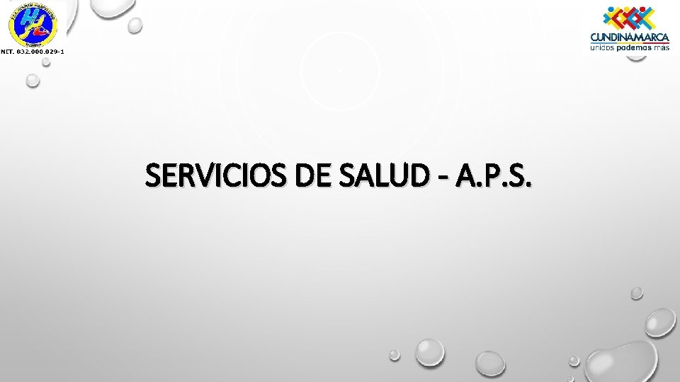 SERVICIOS DE SALUD - A. P. S. 