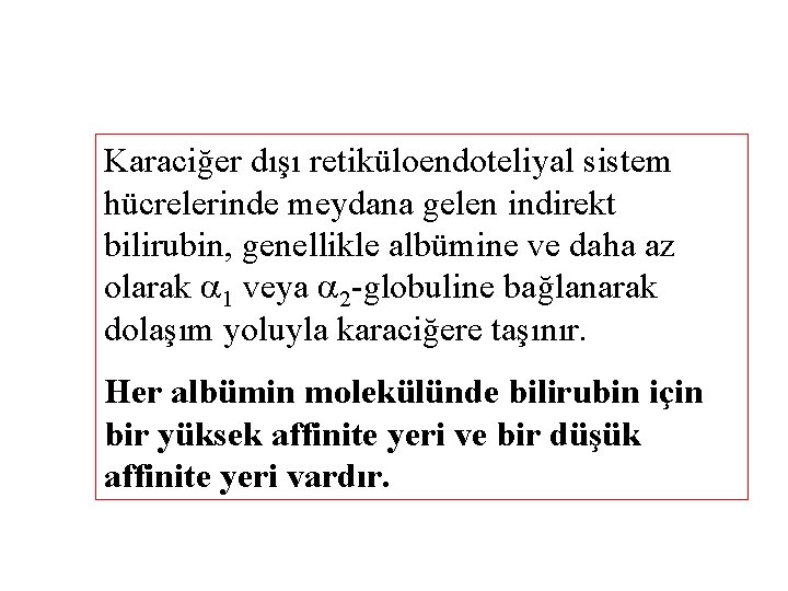 Karaciğer dışı retiküloendoteliyal sistem hücrelerinde meydana gelen indirekt bilirubin, genellikle albümine ve daha az