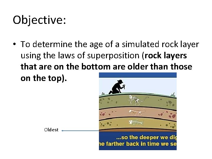 Objective: • To determine the age of a simulated rock layer using the laws