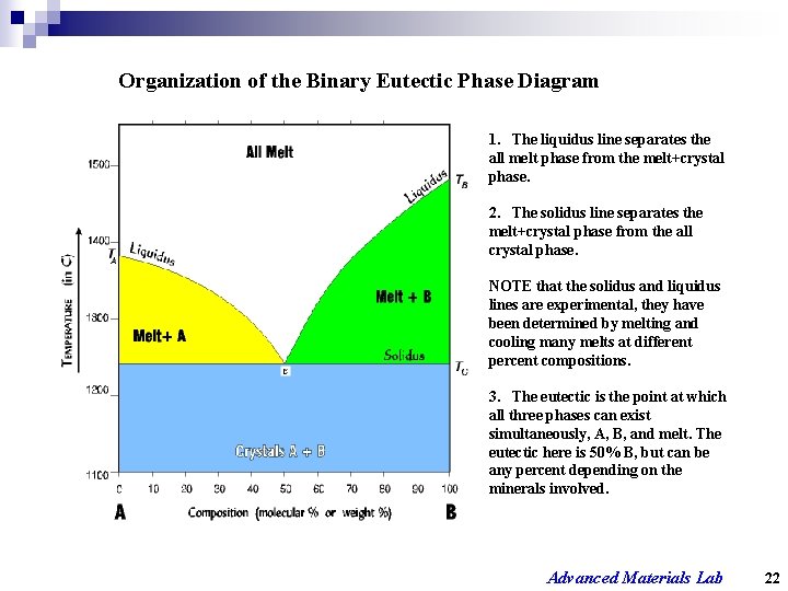 Organization of the Binary Eutectic Phase Diagram 1. The liquidus line separates the all