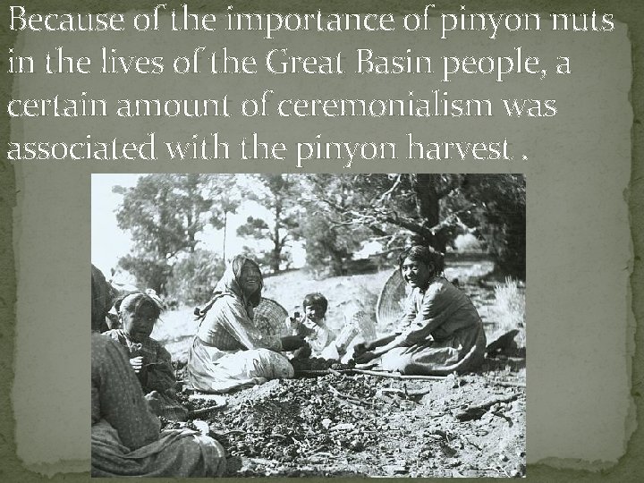Because of the importance of pinyon nuts in the lives of the Great Basin Because of the importance of pinyon nuts in the lives of the Great Basin