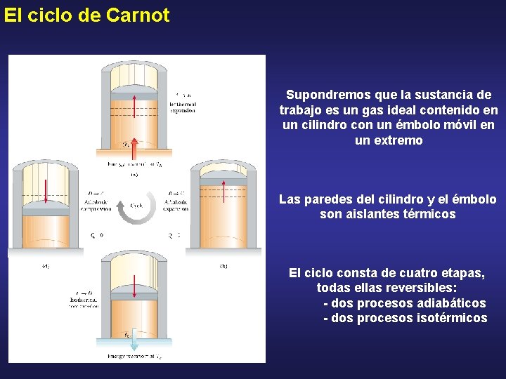 El ciclo de Carnot Supondremos que la sustancia de trabajo es un gas ideal