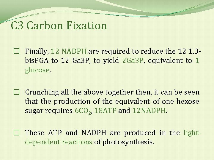 C 3 Carbon Fixation � Finally, 12 NADPH are required to reduce the 12