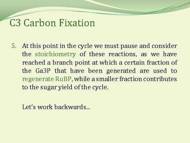 C 3 Carbon Fixation 5. At this point in the cycle we must pause