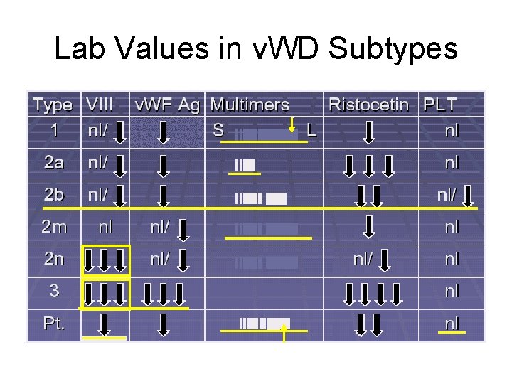 Lab Values in v. WD Subtypes 