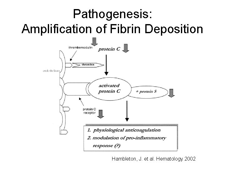Pathogenesis: Amplification of Fibrin Deposition Hambleton, J. et al. Hematology 2002 