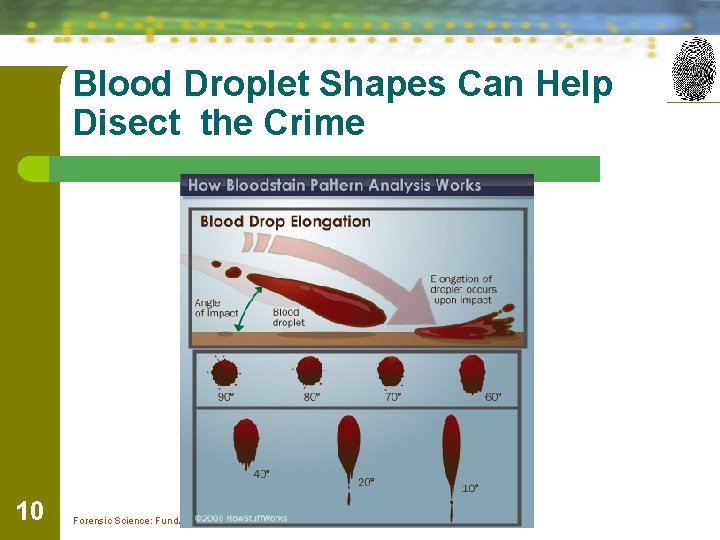 Blood Droplet Shapes Can Help Disect the Crime 10 Forensic Science: Fundamentals & Investigations,