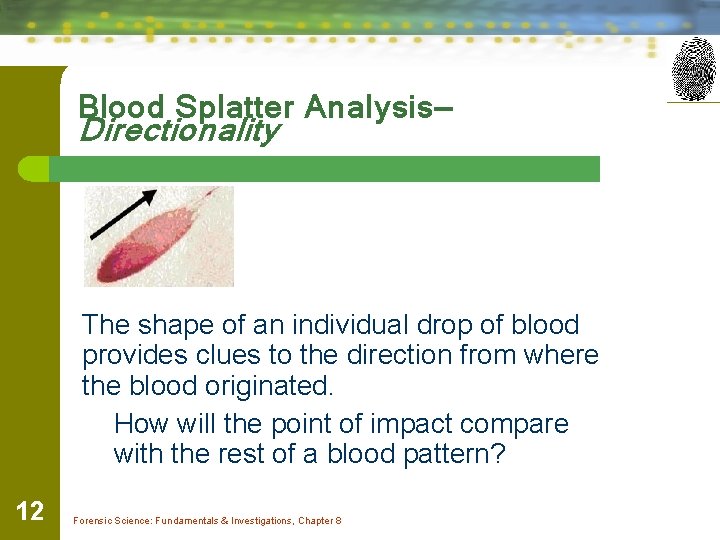 Blood Splatter Analysis— Directionality The shape of an individual drop of blood provides clues Blood Splatter Analysis— Directionality The shape of an individual drop of blood provides clues