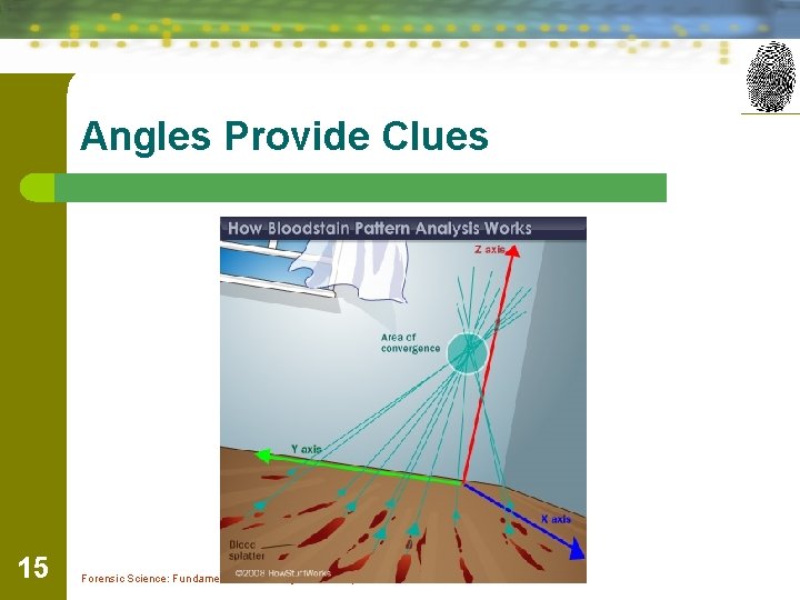 Angles Provide Clues 15 Forensic Science: Fundamentals & Investigations, Chapter 8 