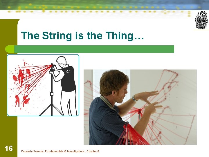 The String is the Thing… 16 Forensic Science: Fundamentals & Investigations, Chapter 8 