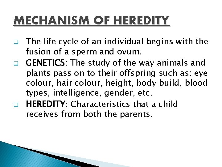 MECHANISM OF HEREDITY q q q The life cycle of an individual begins with