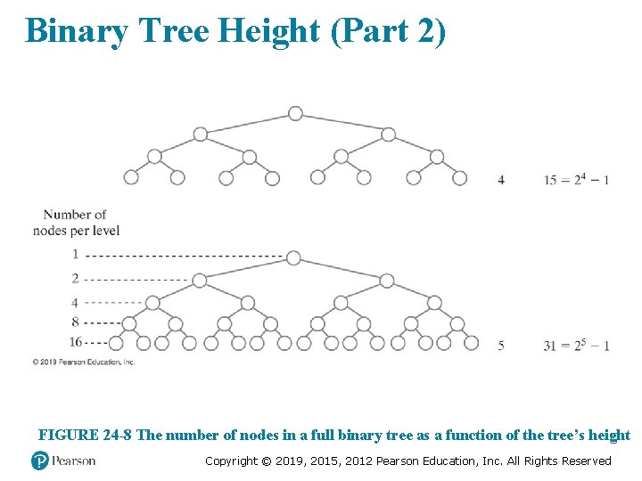 Binary Tree Height (Part 2) FIGURE 24 -8 The number of nodes in a