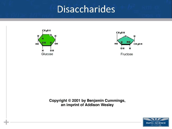 Disaccharides 11 