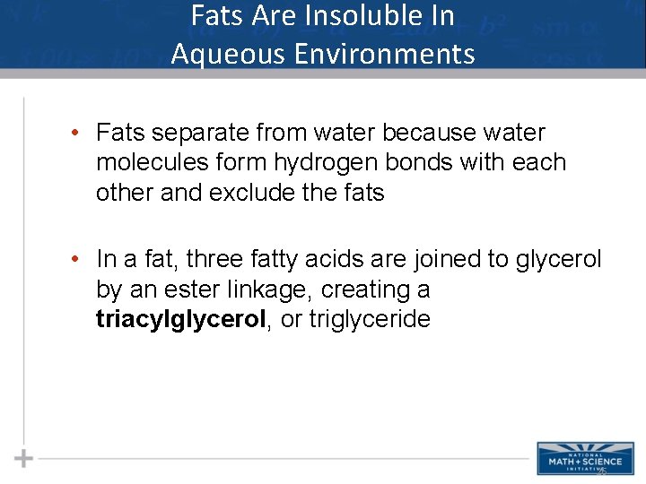 Fats Are Insoluble In Aqueous Environments • Fats separate from water because water molecules